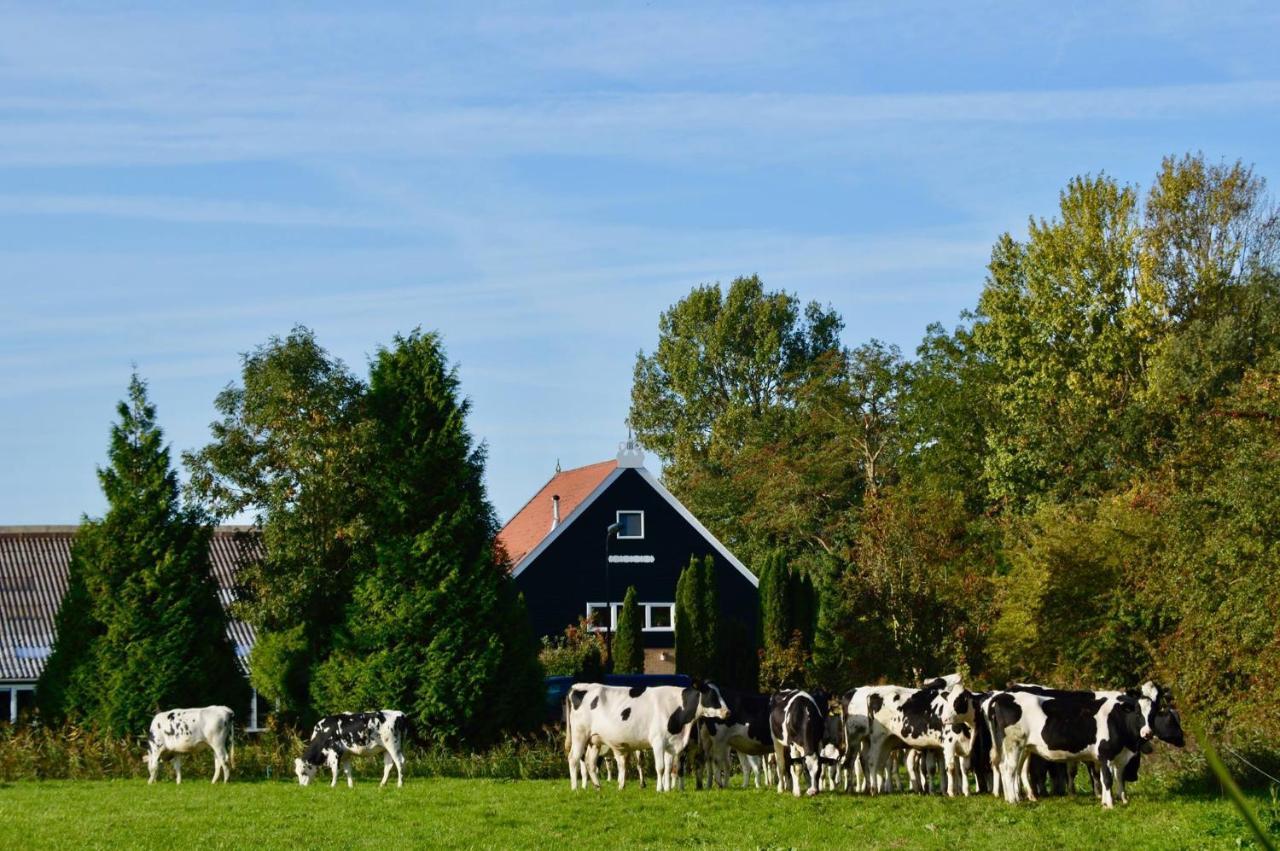 B&B Op Landgoed Koepeltjesplaats Gaast Luaran gambar